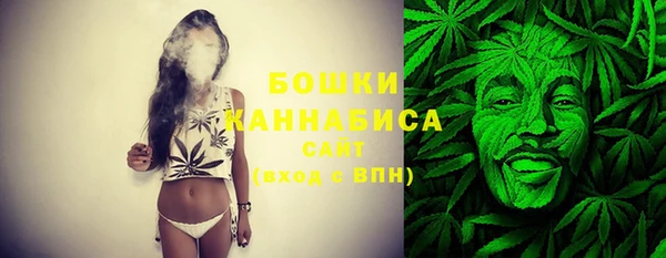 стафф Вяземский