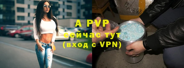 твердый Вязники
