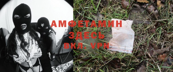 стафф Вяземский