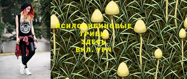твердый Вязники