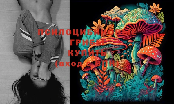 стафф Вяземский
