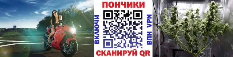 Каннабис ГИДРОПОН  мориарти наркотические препараты  Сафоново 